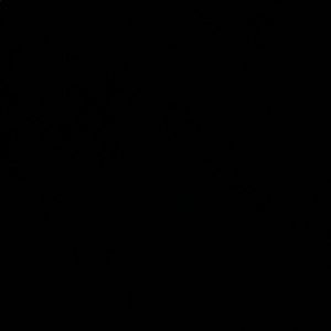 Meet your Posher, Jeremiah